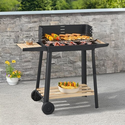 Barbeque grill charcoal - charcoal, bbq